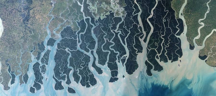 sundarban delta